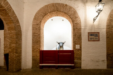 A statue of a bull inside the Plaza de toros de la Real Maestranza de Caballería de Sevilla, the...