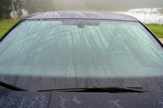 Roc&iacute;o de la noche en el cristal de un coche.