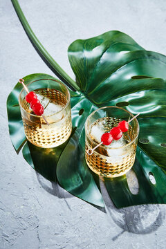 Two Whiskey Tonis on a Monstera Leaf i
