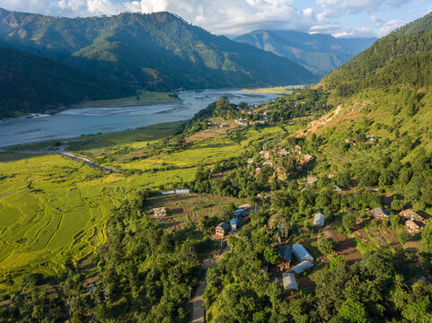 Rice plantation along river bed.