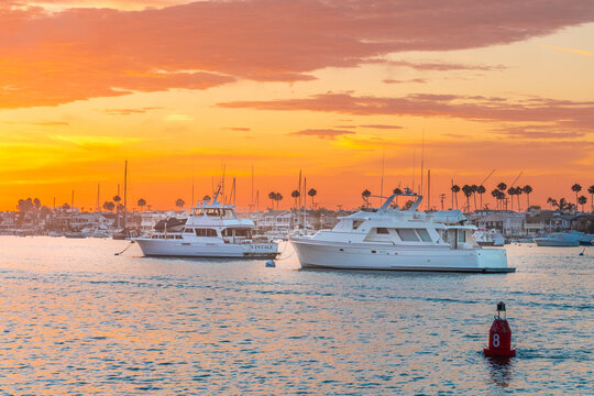 Yachts on the dock in the port against the backdrop of sunset on the ocean. California. Newport Beach
 - Powered by Adobe
