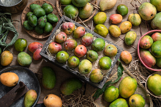 Stilllife with Mango Varieties