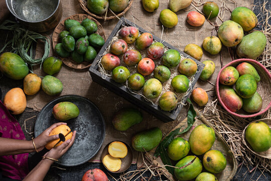 Stilllife with Mango Varieties