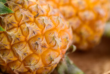 Close up of pineapple fruit in basket, Tropical fruit in summer season