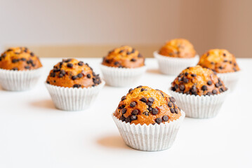 Seven tasty chocolate chip muffins on a white table