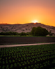 sunset over the farm