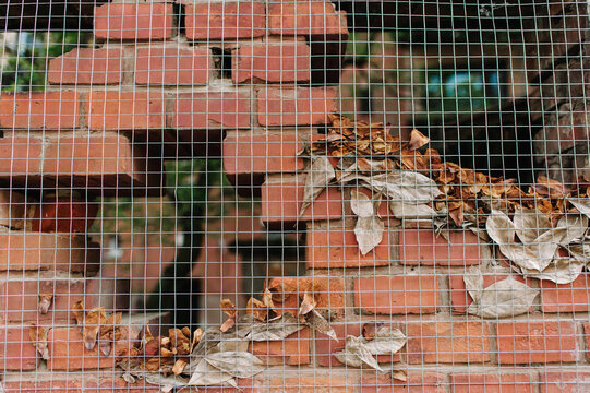 Brick old fence with leaves