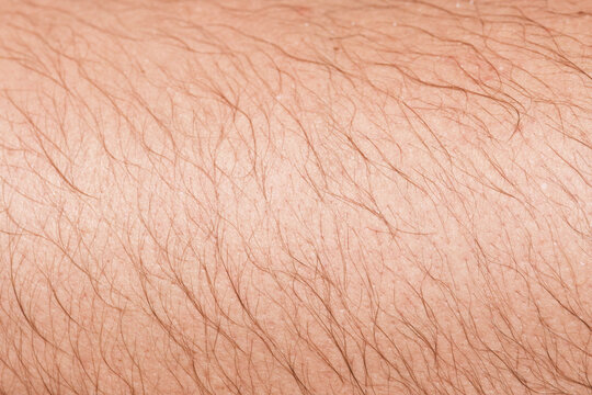 Body Hair And Skin 