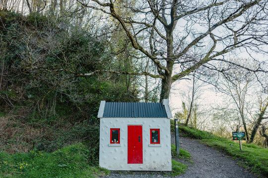 Ireland Forest with quaint cottage
