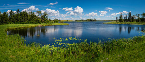 Tranquil landscape and dramatic cloudscape with fur trees, water lily, and plants in Sand Lake near...