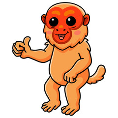 Cute bald uakari monkey cartoon giving thumb up
