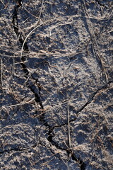 Fototapeta na wymiar Cracks in Dry Dirt