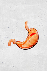 Graphic stylized illustration of iconic symbols the internal human stomach organ - part of a set