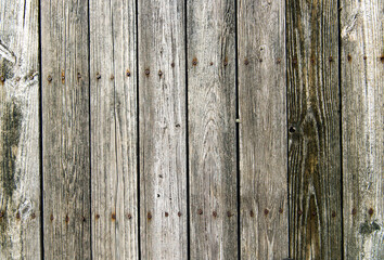 Old wooden gray boards and rusty nails worn out by time. Good background.