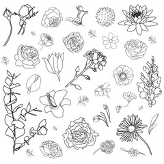 Delicate Floral Linework