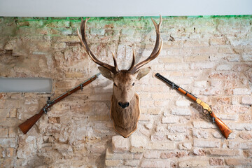 Deer Head On The Wall