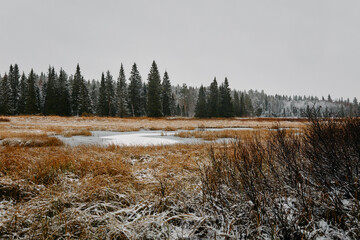 Arrival of Winter in Swedish Countryside