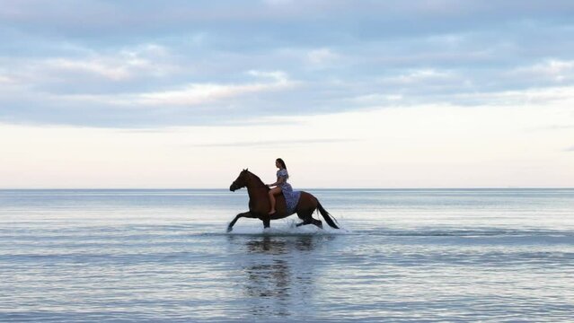 A beautiful girl with long hair in a blue dress riding a horse through the water during the evening, Donabate, Ireland.