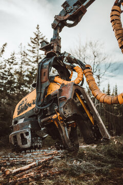 timber log saw