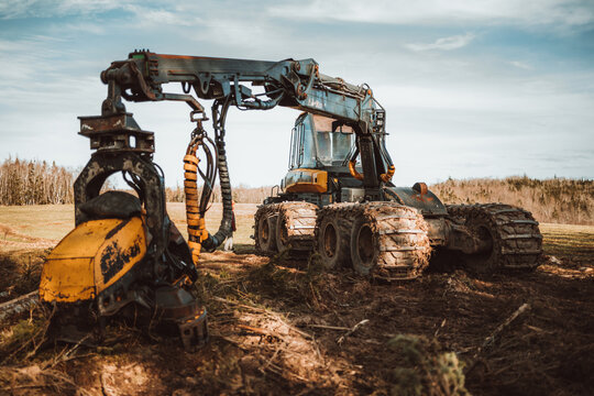 timber cutting machine in the woods