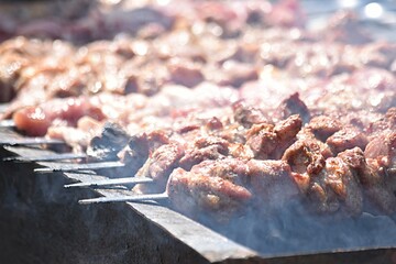 barbecue on skewers is cooked on the street in summer