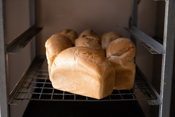 Just baked fresh loafs of bread