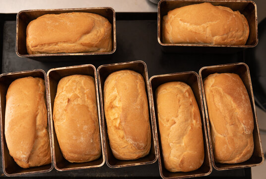 Just baked fresh loafs of bread