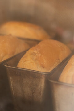 Loafs of bread in pans being baked in oven