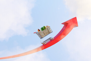 Inflation/rising food prices concept. Cart on a red arrow going up.