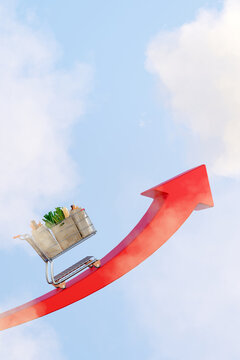Inflation/rising food prices concept. Cart on a red arrow going up.