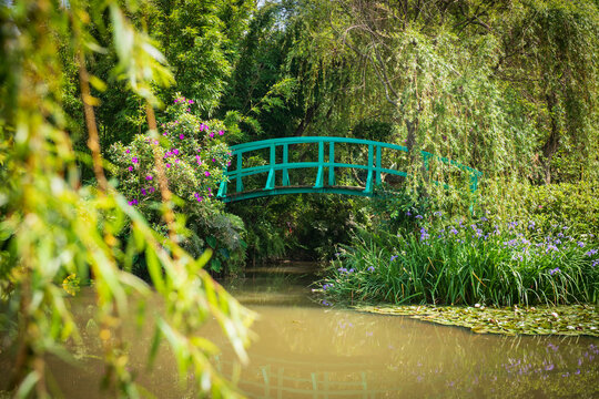 Bridge across pond in garden