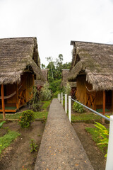Fototapeta na wymiar thatched roof cabins, traditional architecture in the countryside, style and decoration, hotel and resort without people