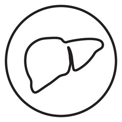 Liver icon vector illustration