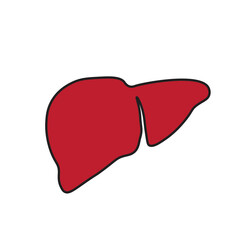 Liver icon vector illustration