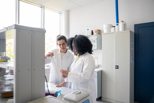 Two Female Scientists Working In Laboratory