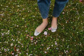 Spring blossom petals on a grass