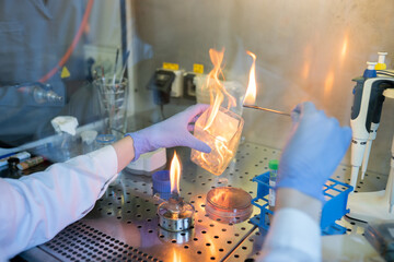 Hands Working In The Laboratory Chamber