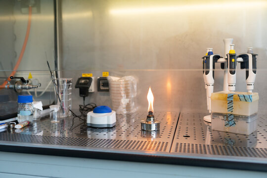 View At Lab Chamber