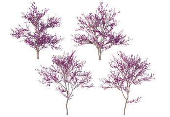 Obraz premium The tree has pink flowers on a white background.