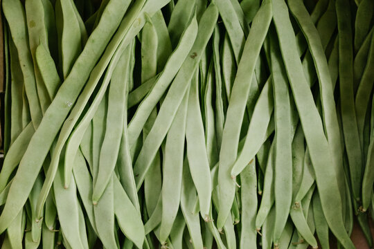 Green Bean Close Up