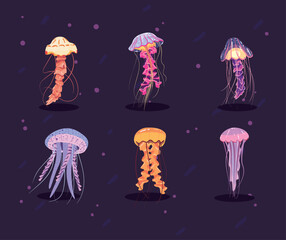 six flat jellyfishes © Jeronimo Ramos