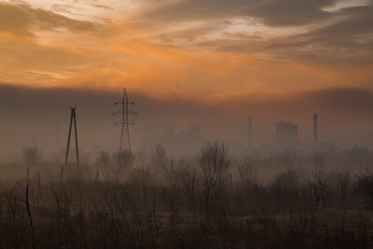 Fogy sunrise on a field 
