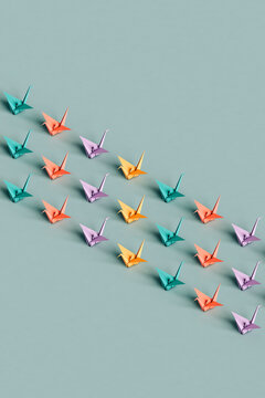 rows fo many colorful swan origami