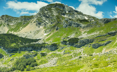 Mountain landscape, Durmitor National Park,June, Montenegro
