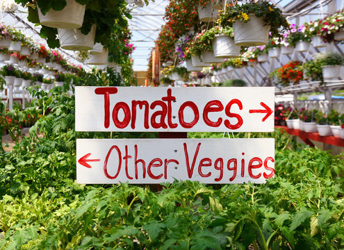 Greenhouse Veggie Garden Sign