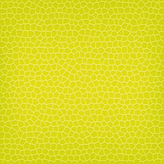 Leather Texture Background