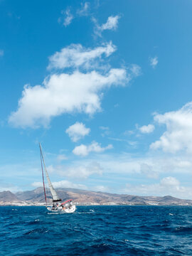 Sailboat cruising the sea