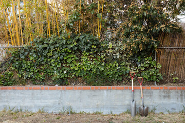 Two shovels lean against planter
