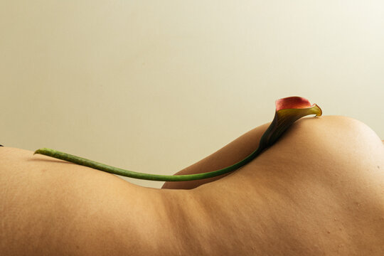 Still life of calla lily on human body