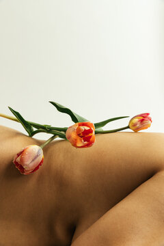 Tulip balanced on bare skin and curves